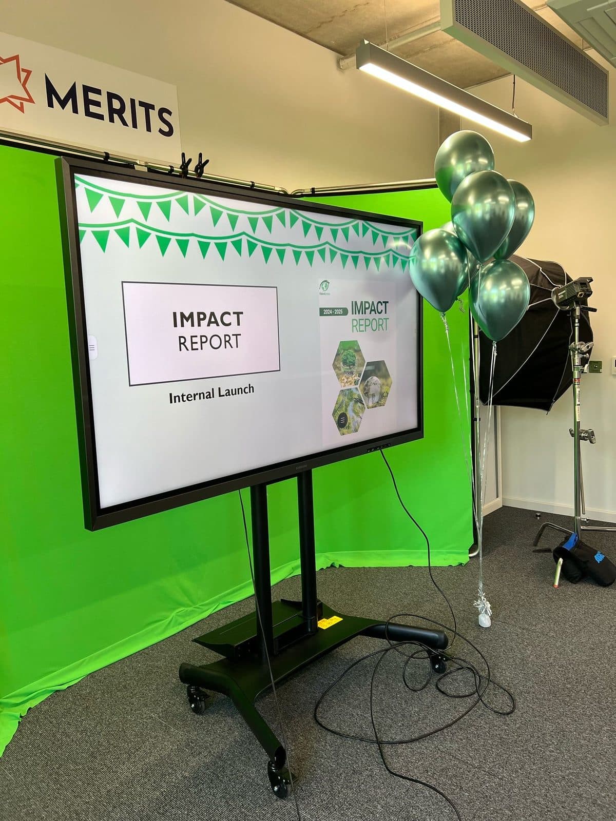 A screen showing the VisionGreen IMPACT report, set up for the internal launch with green balloons.