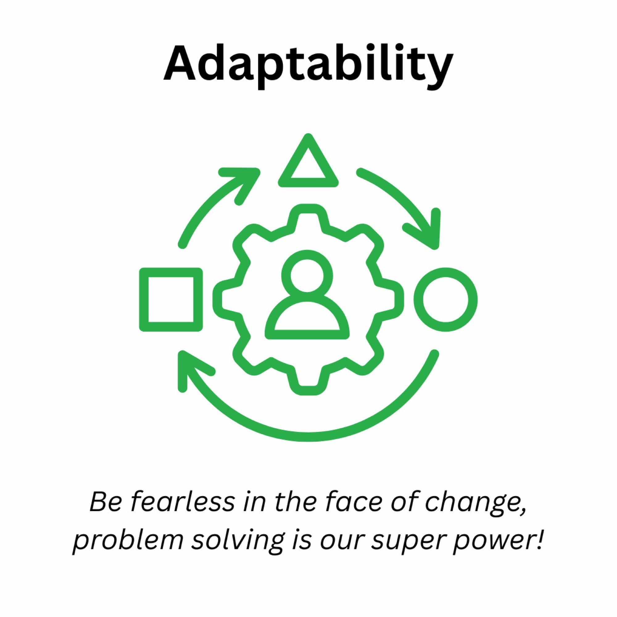 Adaptability: Be fearless in the face of change, problem solving is our super power.